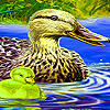 play Little Chick And Mother Puzzle