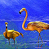 play The Long Legged Flamingos Puzzle