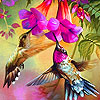 play Pink Hummingbirds Puzzle