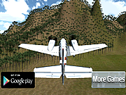 3 D Flight Sim