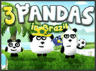 3 Pandas In Brazil