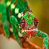 play Green Lizard In The Jungle Puzzle