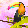 play Colorful Toucan Puzzle
