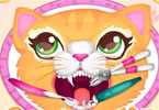 play Precious Kitty Dentist
