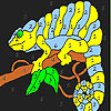 play Lizard In The Tree Coloring