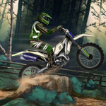 play Motocross Forest Challenge