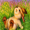 play Tired Funny Rabbit In The Garden Puzzle