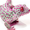 Pink Spotted Lizard Puzzle