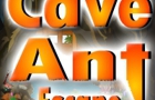 play Cave Ant Escape