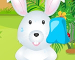 play Cute Bunny Care