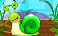 play Snail Care