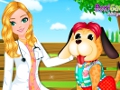 play Pet Doctor Vet Care