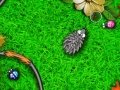 play Hungry Hedg