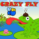 play Crazy Fly