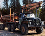 Timber Lorry Driver