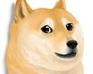 play Doge Quest