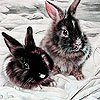 play Gray Rabbits In Snow Puzzle