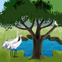 play Animal Forest Boat Escape