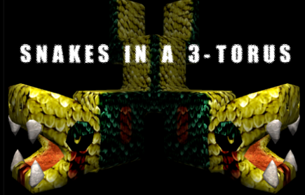 play Snakes In A 3-Torus