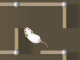 play Rat Trap