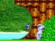 play Sonic Angel Island