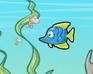 play Fish Race Champions 2