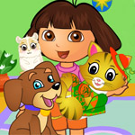 Dora Pets Care