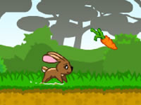 play  Fluffy Runner