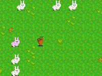 play Bunny Bunny Boom