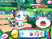 play Doc Mc Stuffins: Stray Kitten Caring