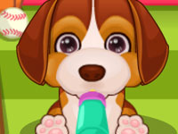 play Cute Puppy Pet Care Kissing