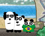 3 Pandas In Brazil