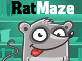 Rat Maze