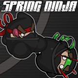 Spring Ninja