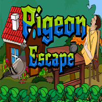 play Ena Pigeon Escape