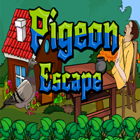 Pigeon Escape