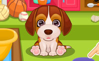 play Puppy Care 2