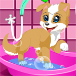 Puppy Spa