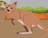 Escape The Kangaroo