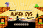 Ninja Pig