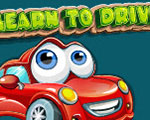 Learn To Drive game
