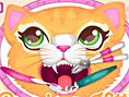 play Precious Kitty Dentist