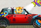 Ginger Car Wash