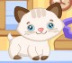 play Cutie Pet Care 2