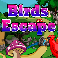 play Ena Birds Escape
