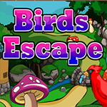 play Birds Escape