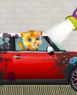 Ginger Car Wash