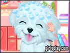 play Fluffy Puppy Pet Spa And Care