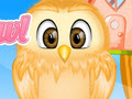 play Baby Owl Care