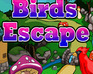 play Birds Escape